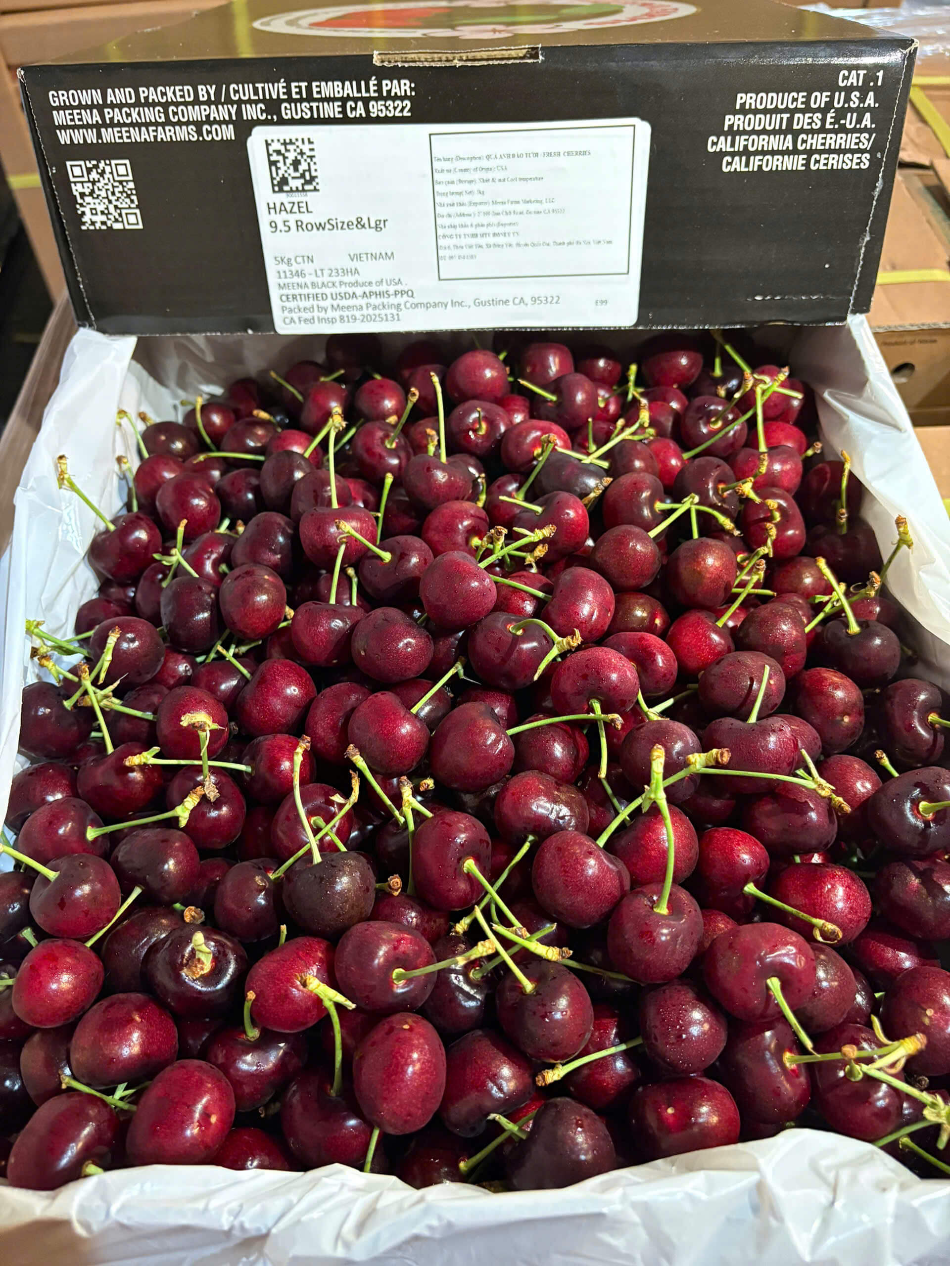 Đặc điểm nổi bật của Cherry Meena Royal Hazel