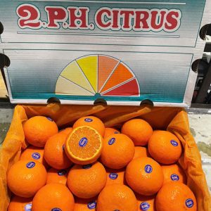 Giá Quýt Úc 2PH bao nhiêu 1kg