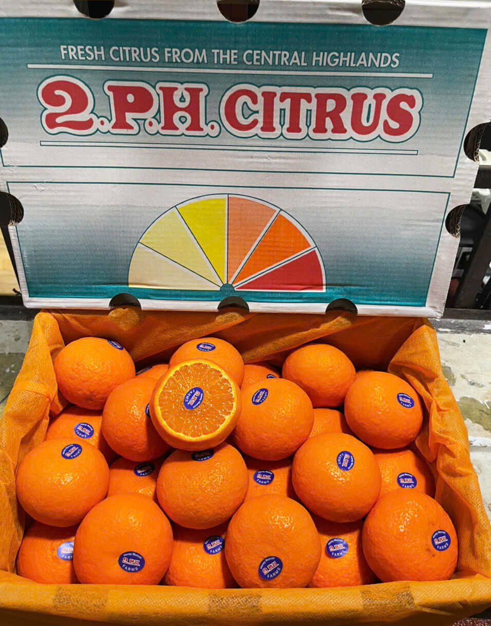 Giá Quýt Úc 2PH bao nhiêu 1kg