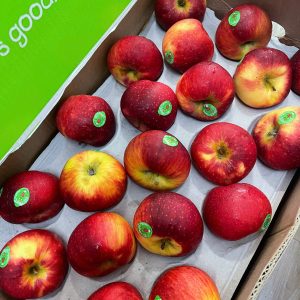 Giá táo Juliet Organic