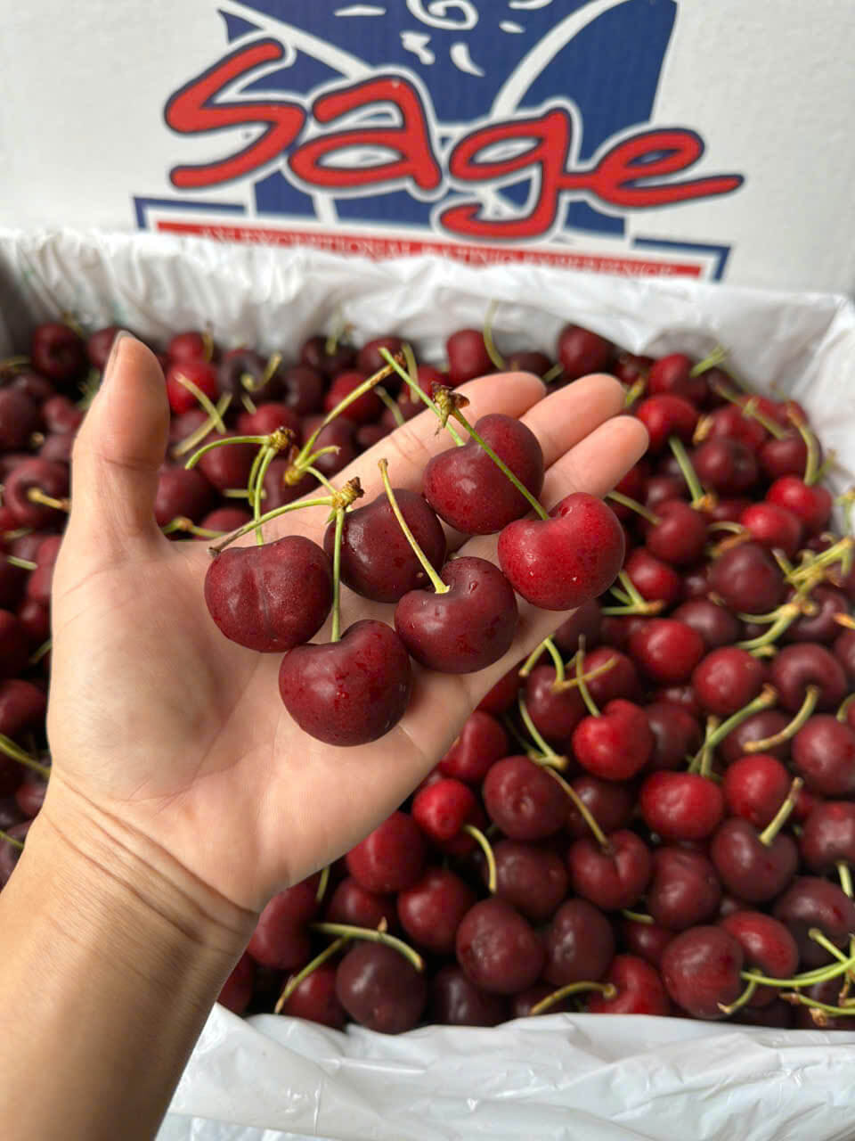 100g Cherry Bao Nhiêu Calo