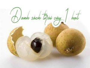Danh sách hơn 25 loại trái 1 hạt