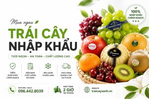Nơi Mua Trái Cây Nhập Khẩu Tươi Ngon Tại TPHCM Gần Nhất