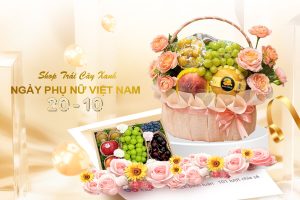 Giỏ trái cây 20 10