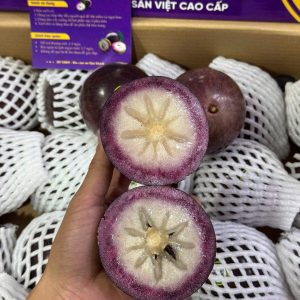 Vú sữa bắc thảo