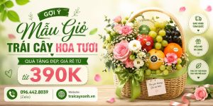 Gợi Ý Mẫu Giỏ Trái Cây Hoa Tươi | Quà Tặng Đẹp, Giá Rẻ Từ 390K