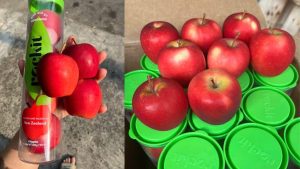 Táo rockit 4 trái Newzealand