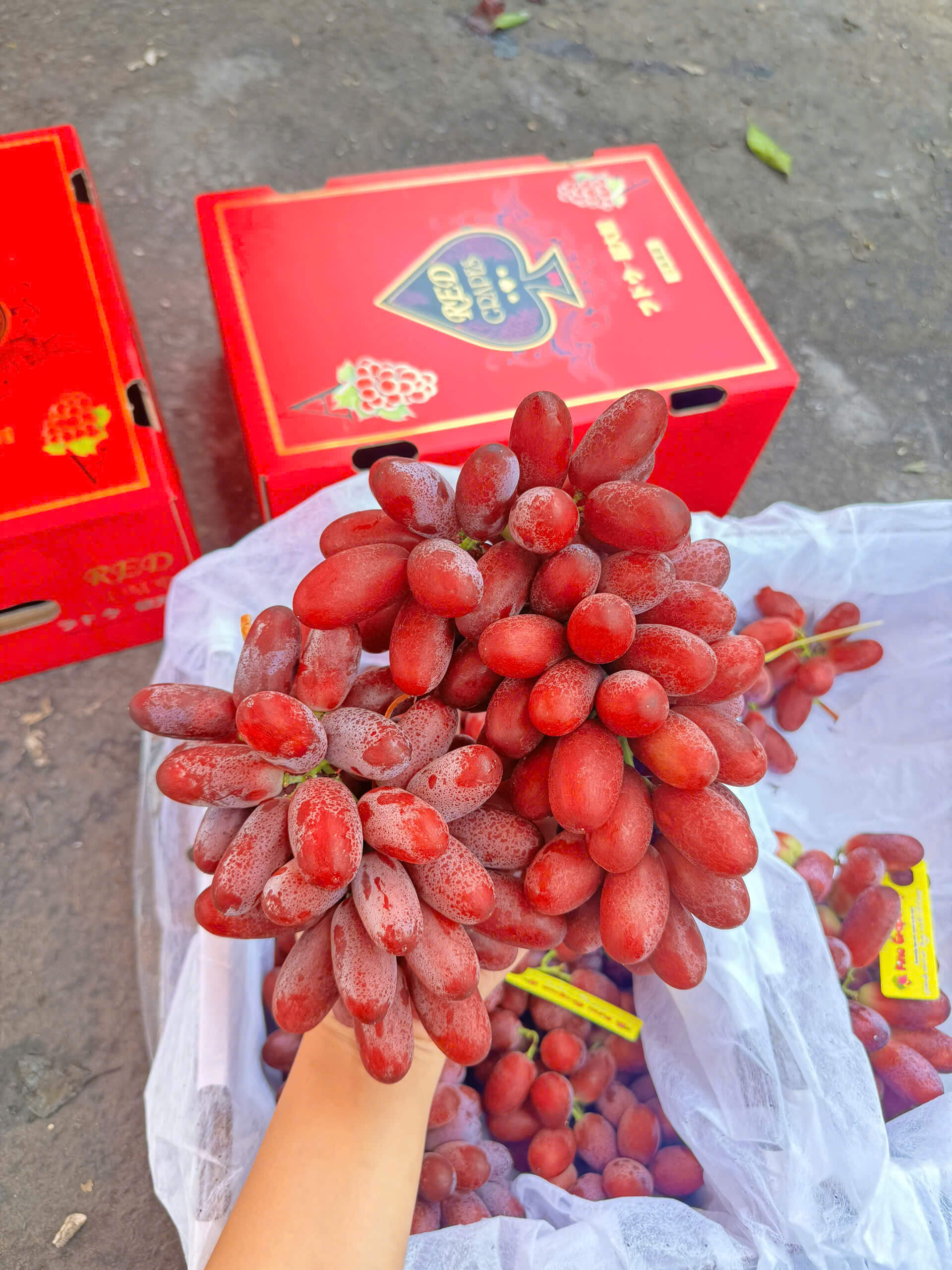 Lớp phấn phủ trên trái nho có ăn được không