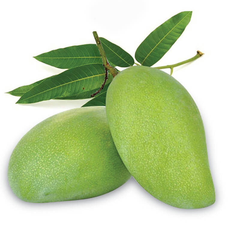Hình ảnh quả xoài xanh